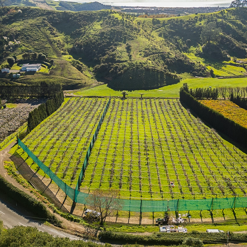 Aerial imagery of a newly converted kiwifruit orchard. Brix Group vehicles can be seen in foreground. Rolling Tauranga hills in the background