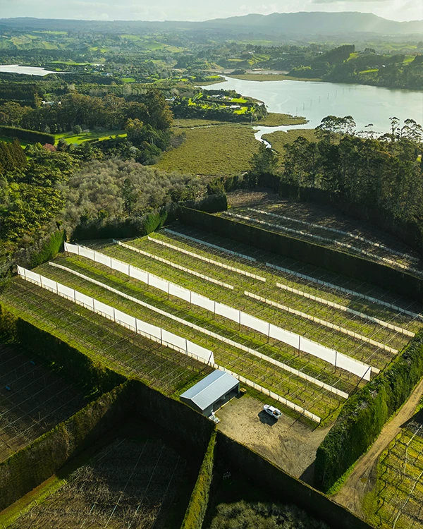 Vertical shelter in Te Puna, Bay of Plenty