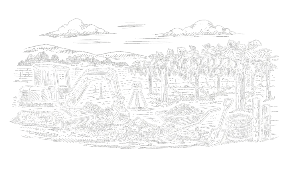 Illustration showing a stylised orchard with vines and earthworks.