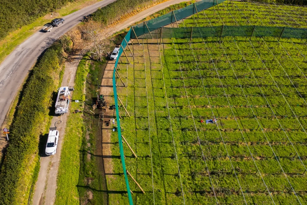 A top down aerial view of the Brix team installing a large green wind shelter in orchard. A road can be seen along the side of the orchard.